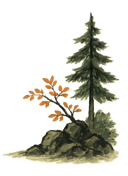tree